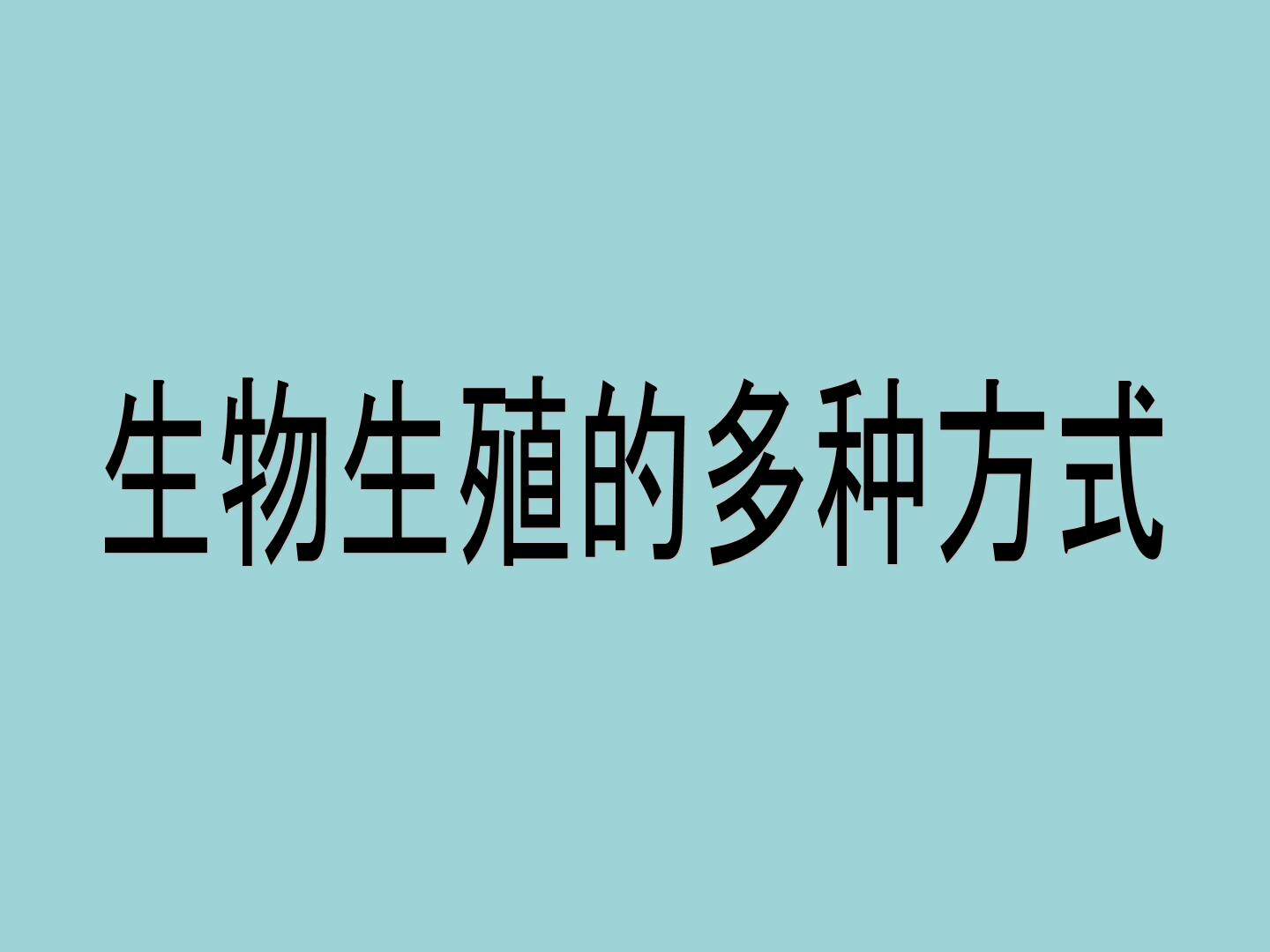 生物生殖的多种方式_课件5
