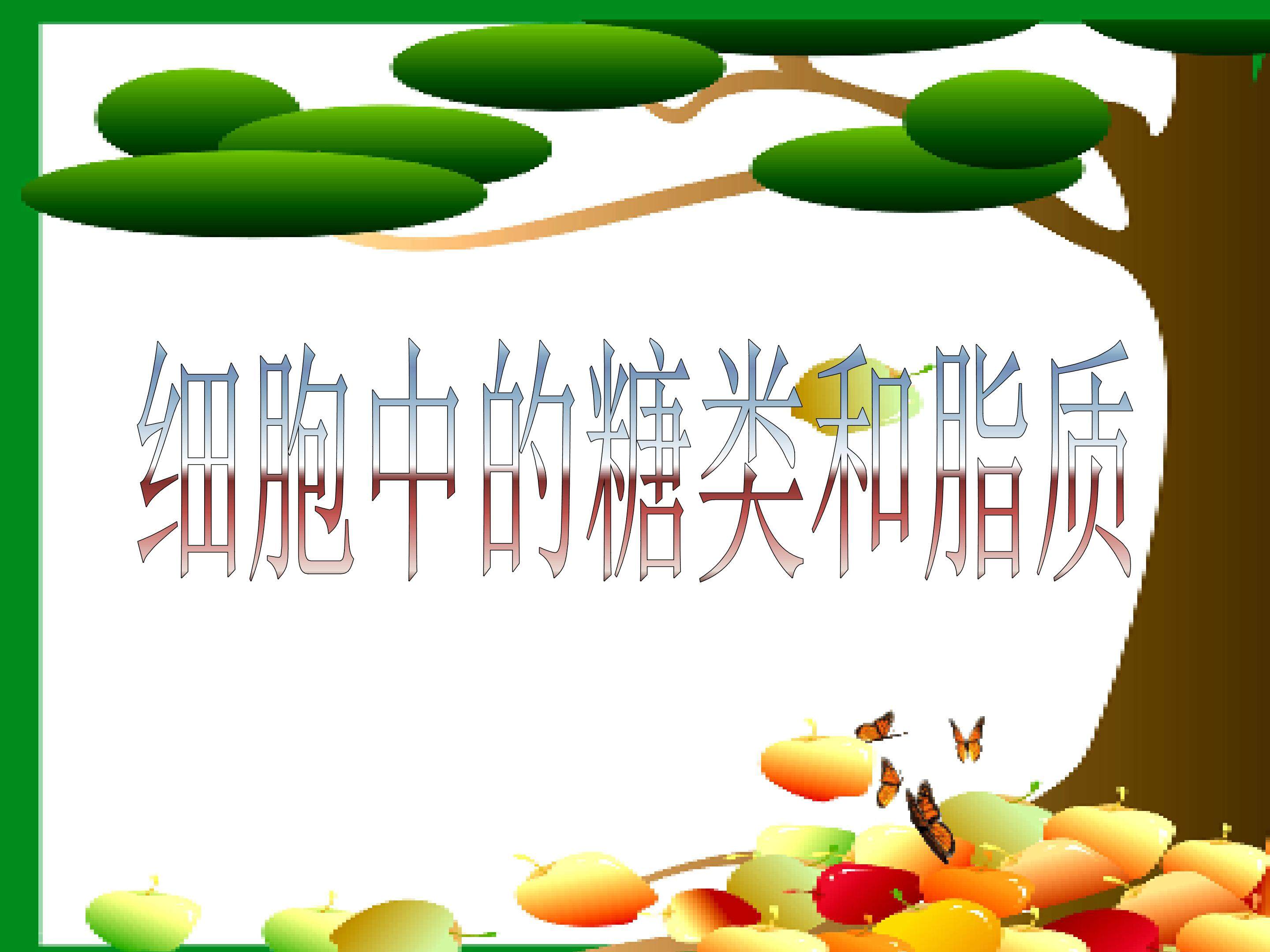 细胞中的糖类和脂质_课件1