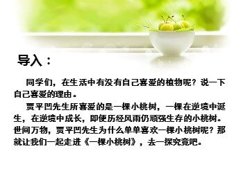 18*  一棵小桃树