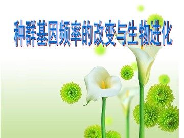 生物高中必修2第七章第二节第一课时课件3