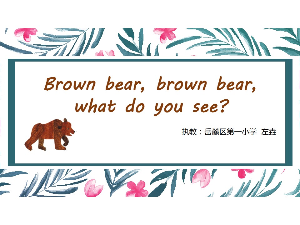 Brown bear PPT