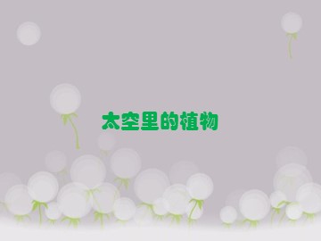 太空里的植物_课件1
