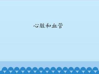 心脏和血管_课件1
