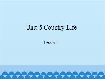 Unit 5 Country Life Lesson 3_课件1