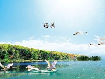 场景_课件1