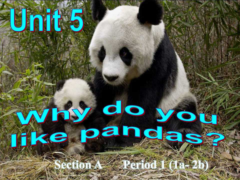 Unit 5 Why do you like pandas?