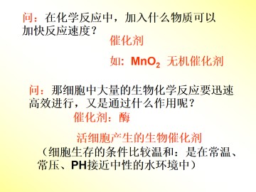 酶_课件1
