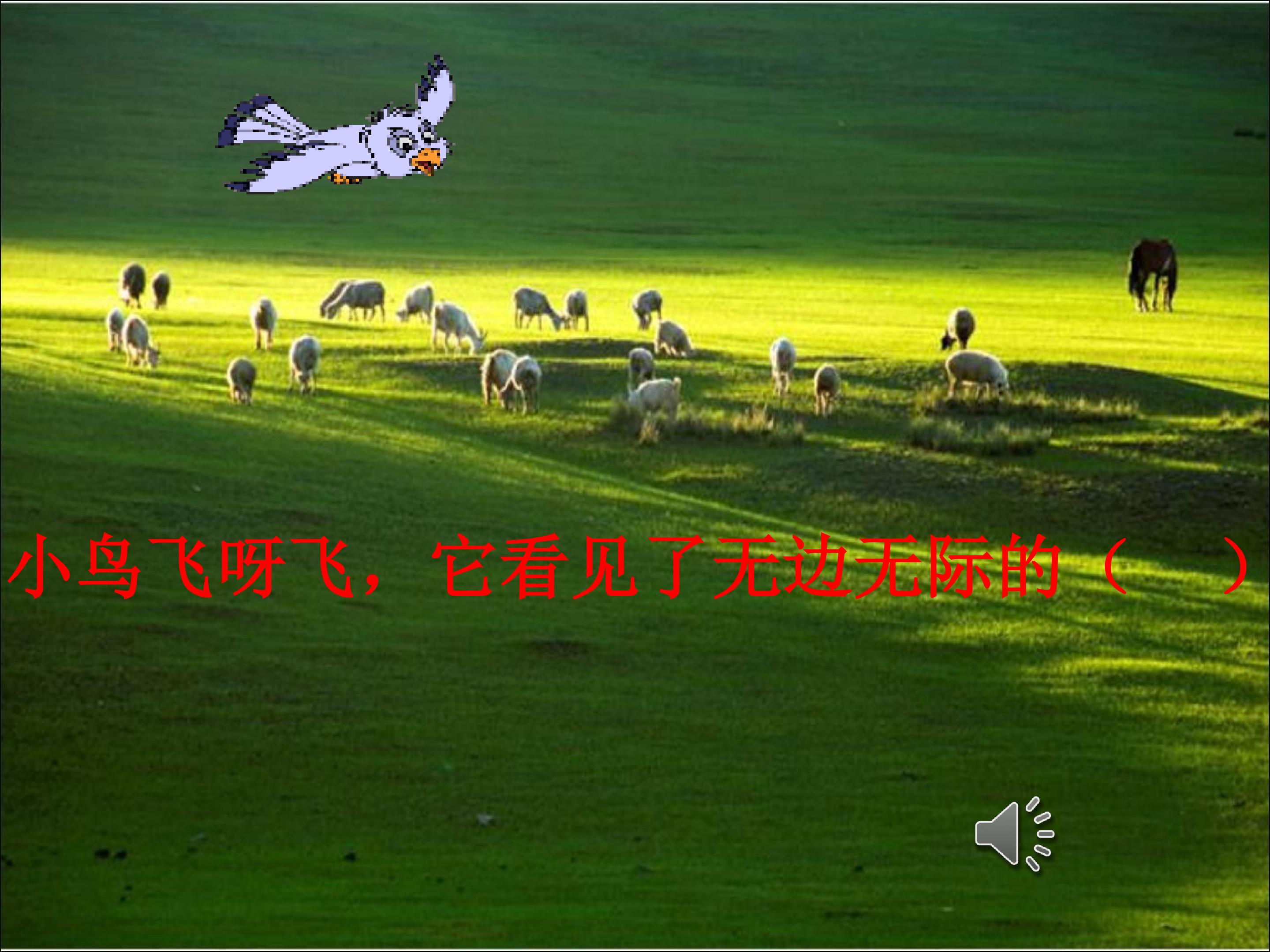 13.jpg
