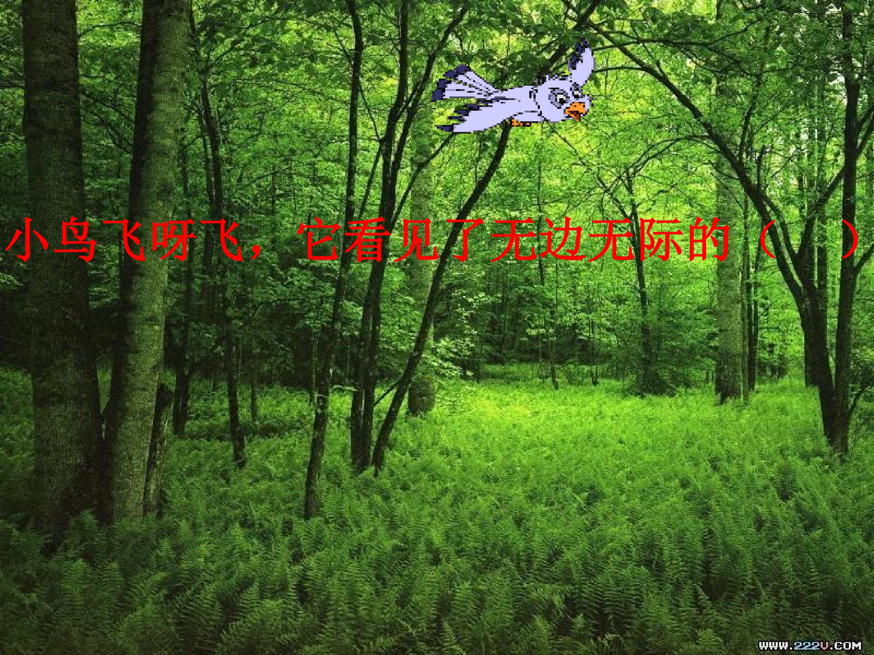 16.jpg