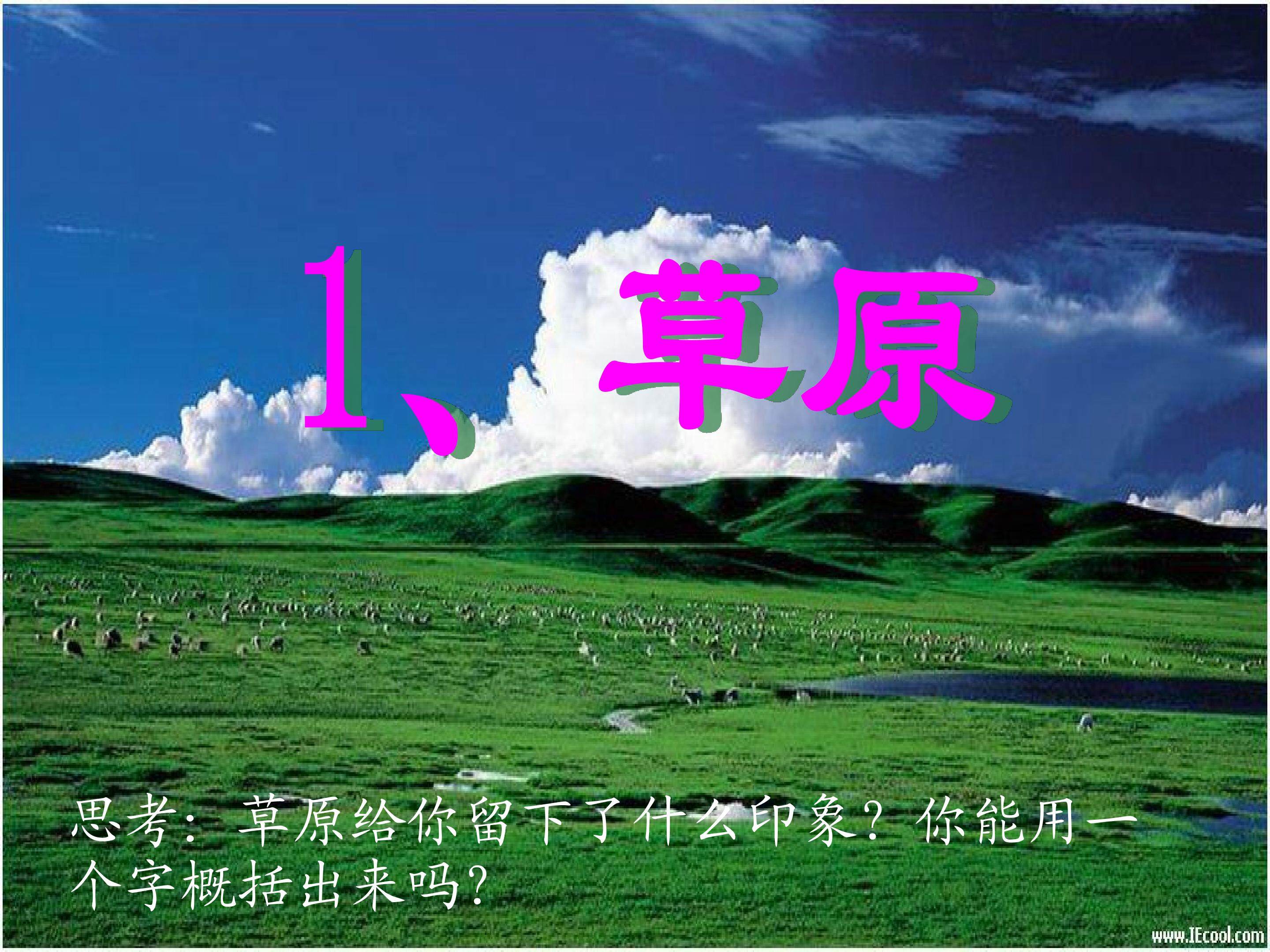 草原