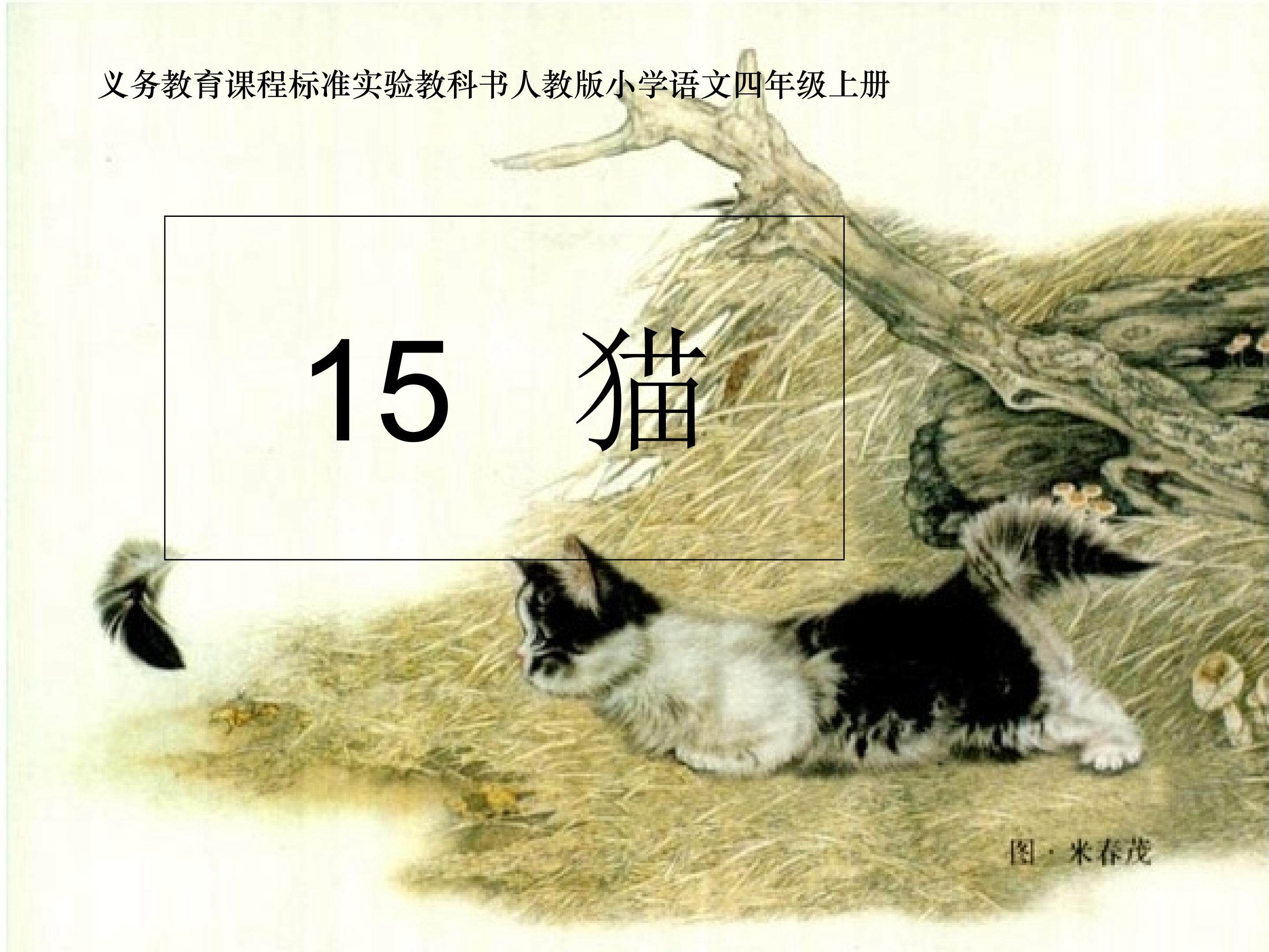 猫