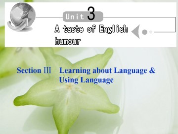 A taste of English humour_课件23