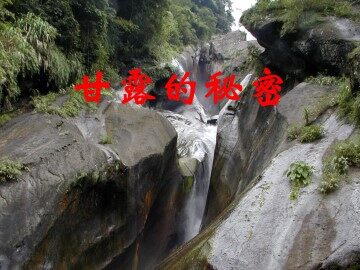 甘露的秘密_课件1