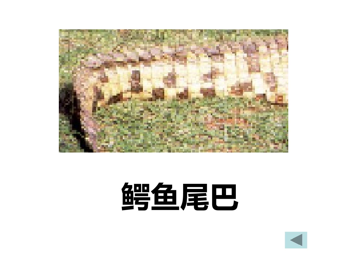 41.jpg