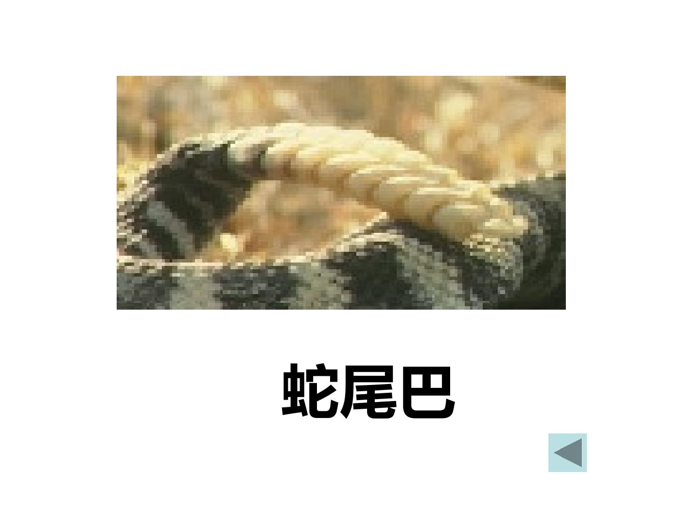42.jpg