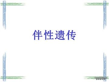 生物高中必修2第二章第三节课件2