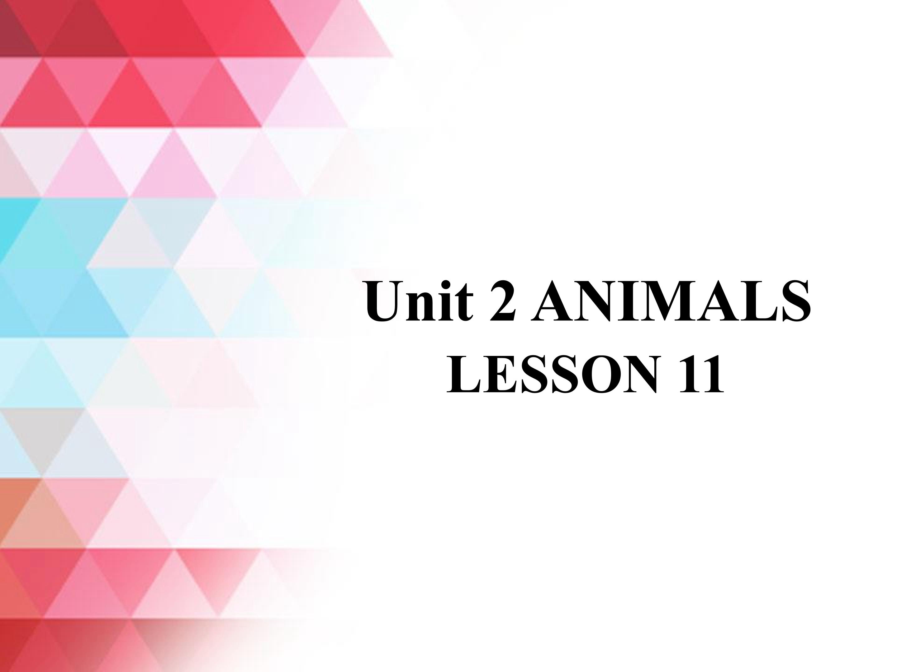 Unit 2 ANIMALS LESSON 11 课件