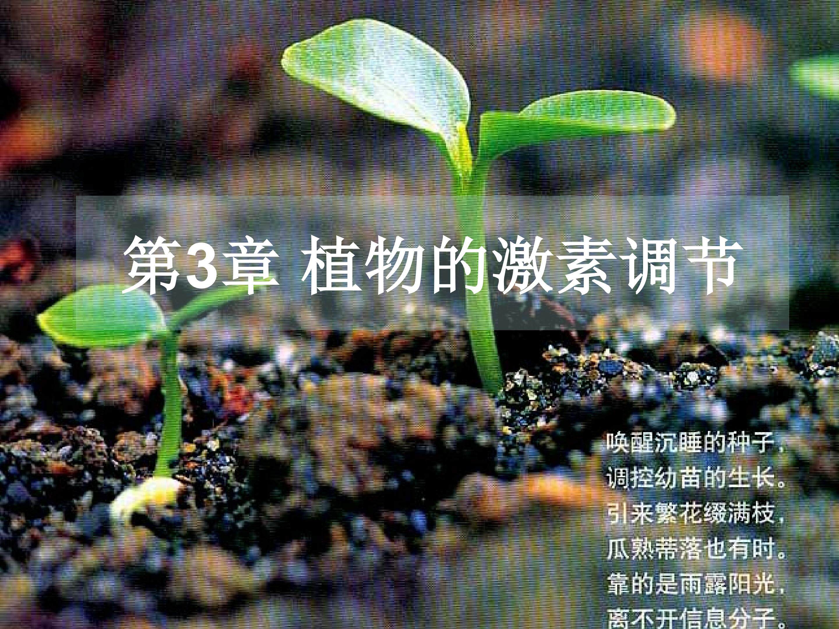 植物生长素的发现