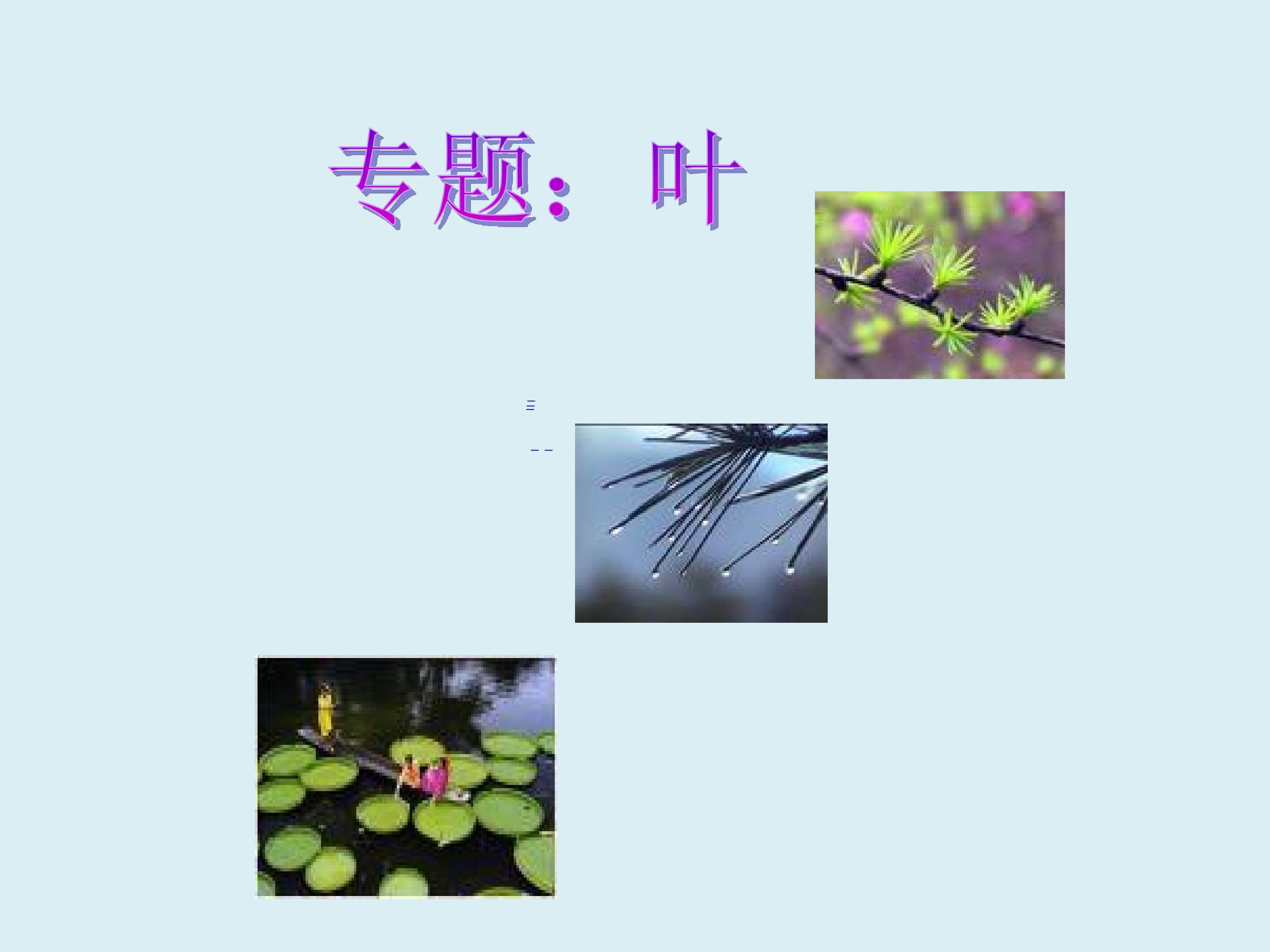叶_课件2