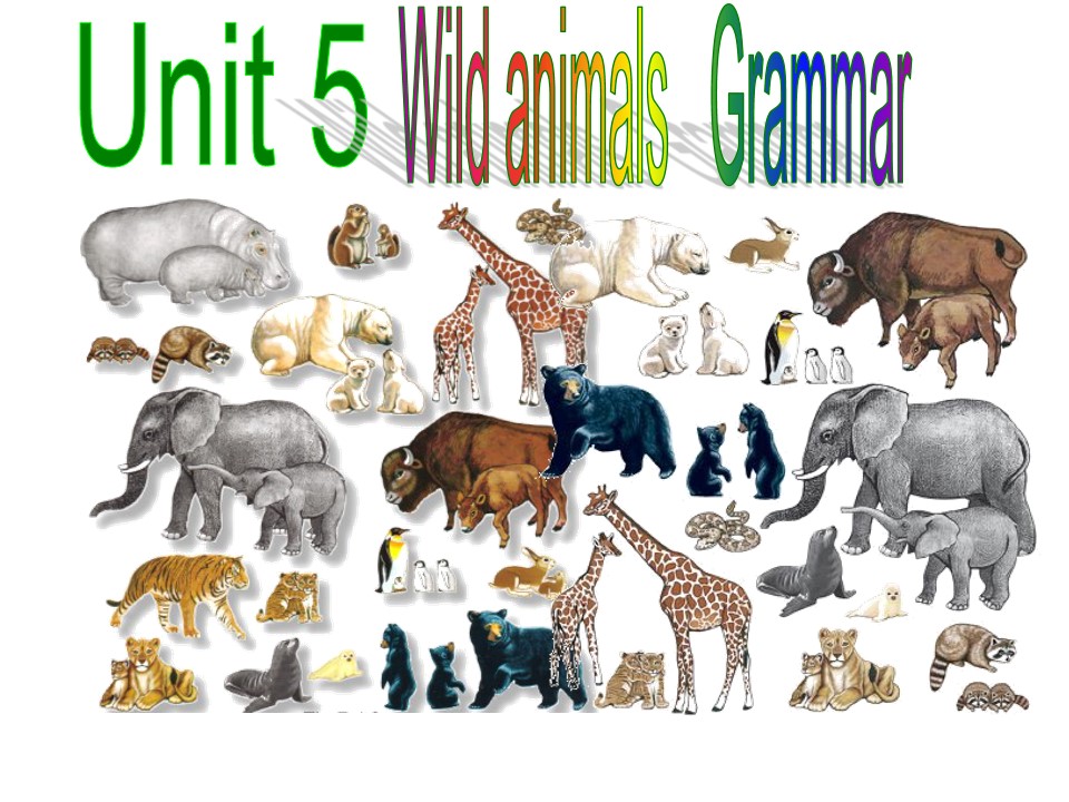 Unit 5 Wild animals Grammar
