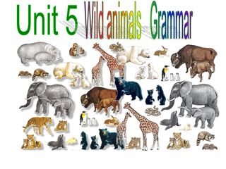 Unit 5 Wild animals Grammar