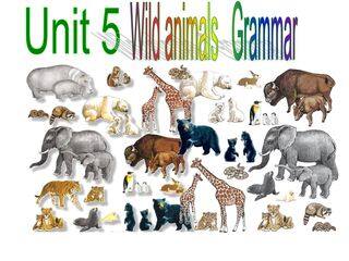 Unit 5 Wild animals Grammar