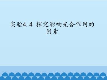 实验4.4 探究影响光合作用的因素_课件1