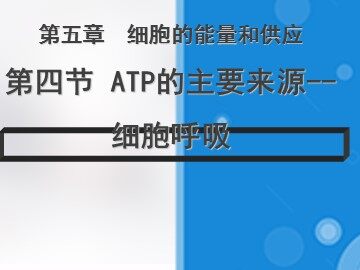 第3节  ATP的主要来源——细胞呼吸