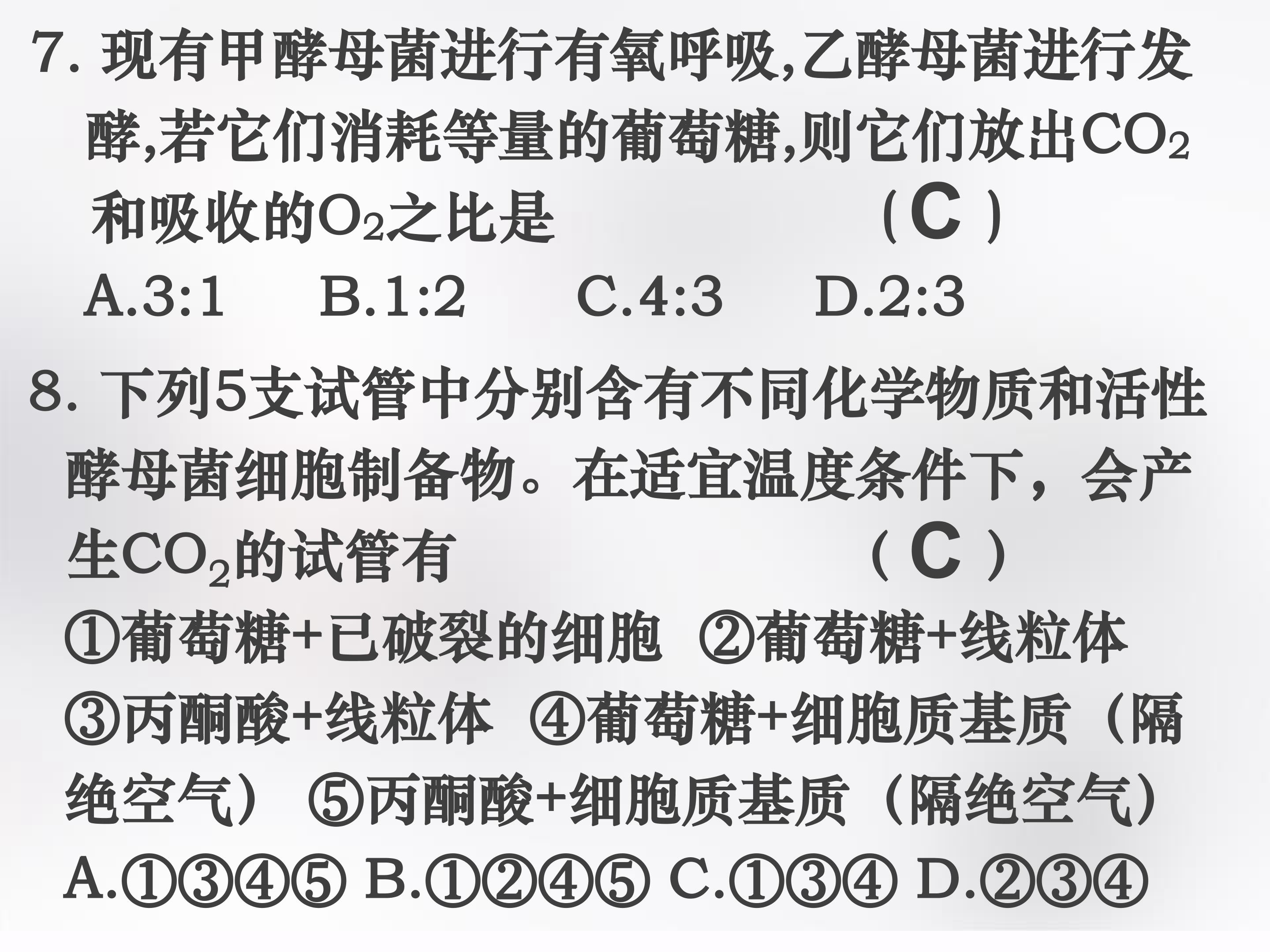 36.jpg