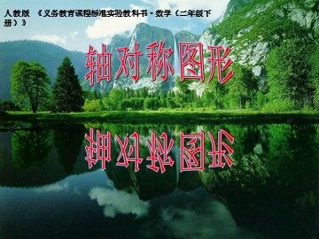 3 图形的运动（一）