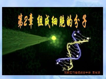 生物高中必修1第二章第四节课件5