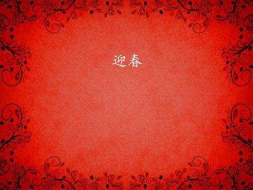 迎春_课件1