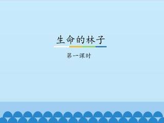 生命的林子-第一课时_课件1
