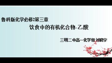 《乙酸》课件