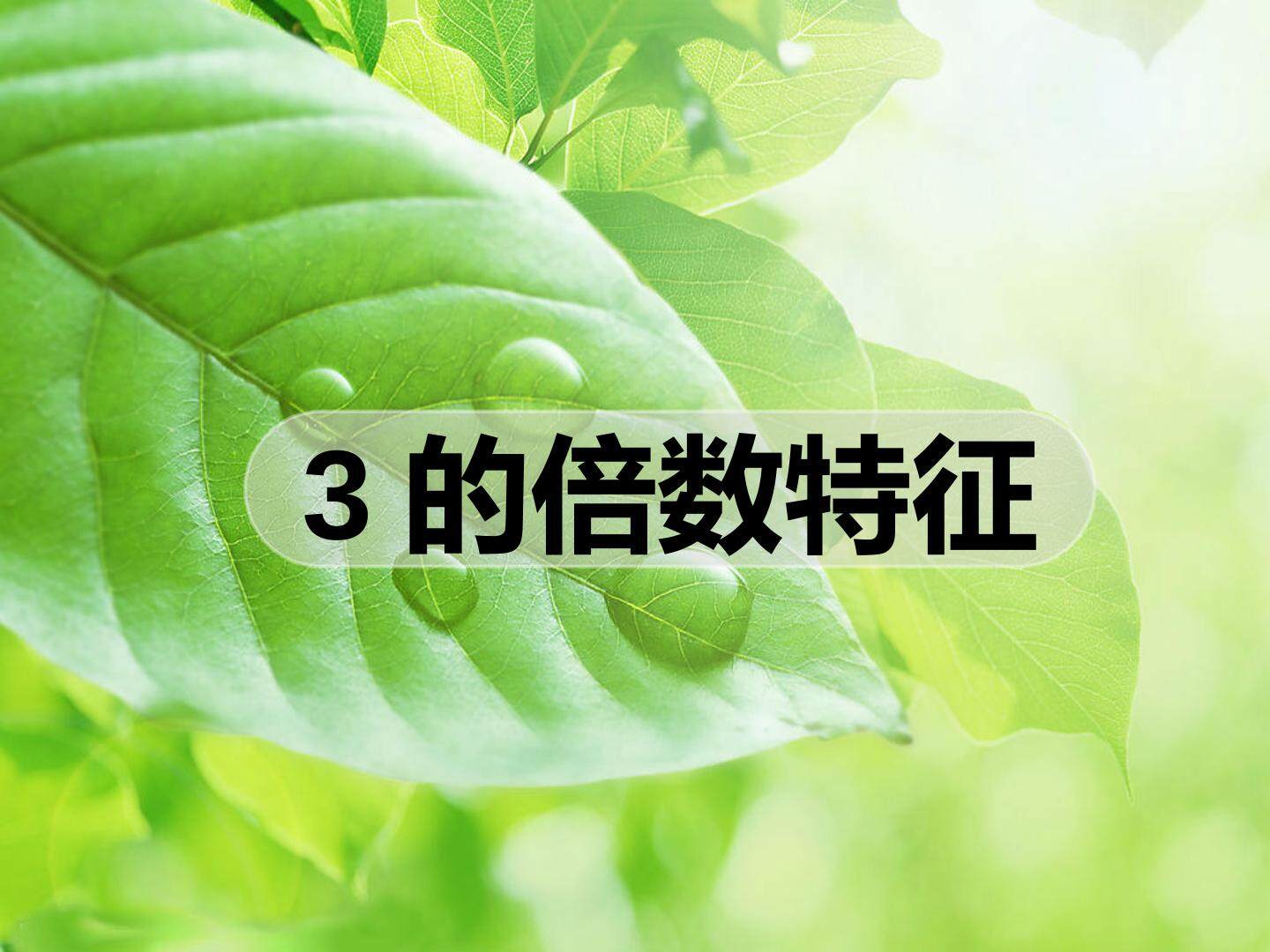 因数和倍数