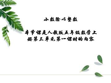除数是整数的小数除法