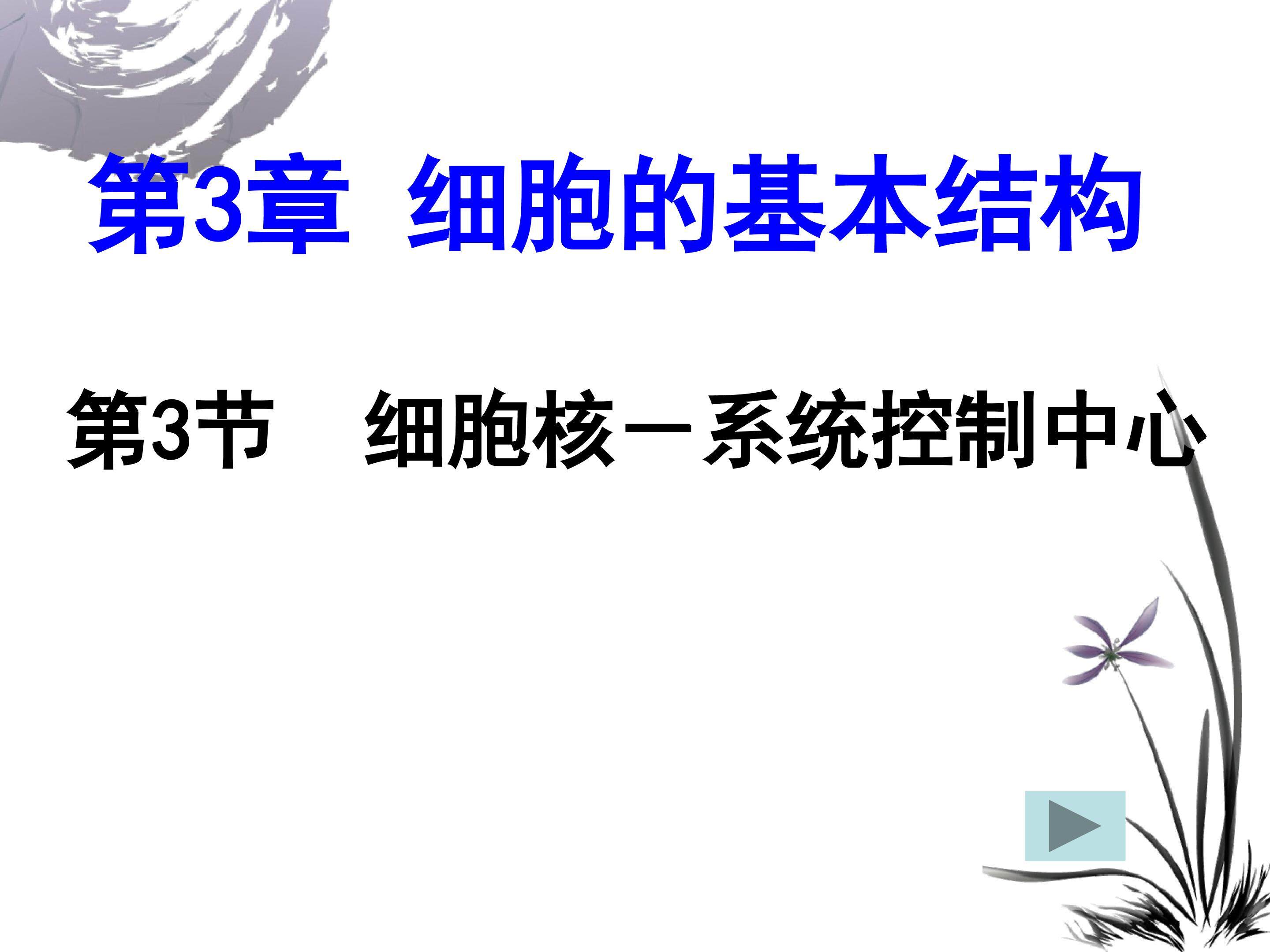 细胞核-系统的控制中心