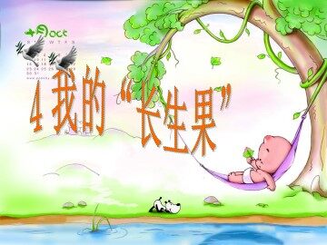 4* 我的“长生果”