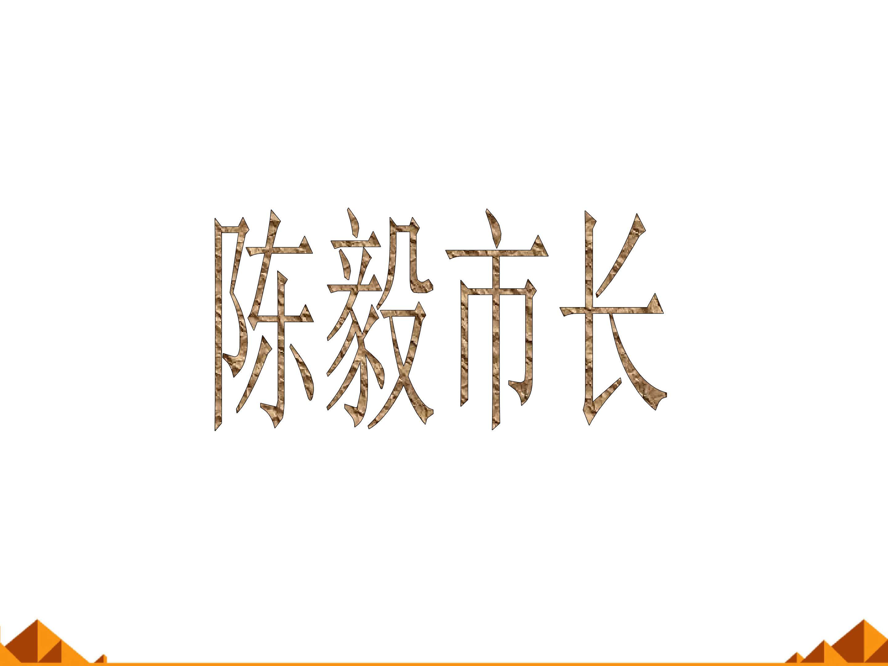 《陈毅市长》选场_课件4