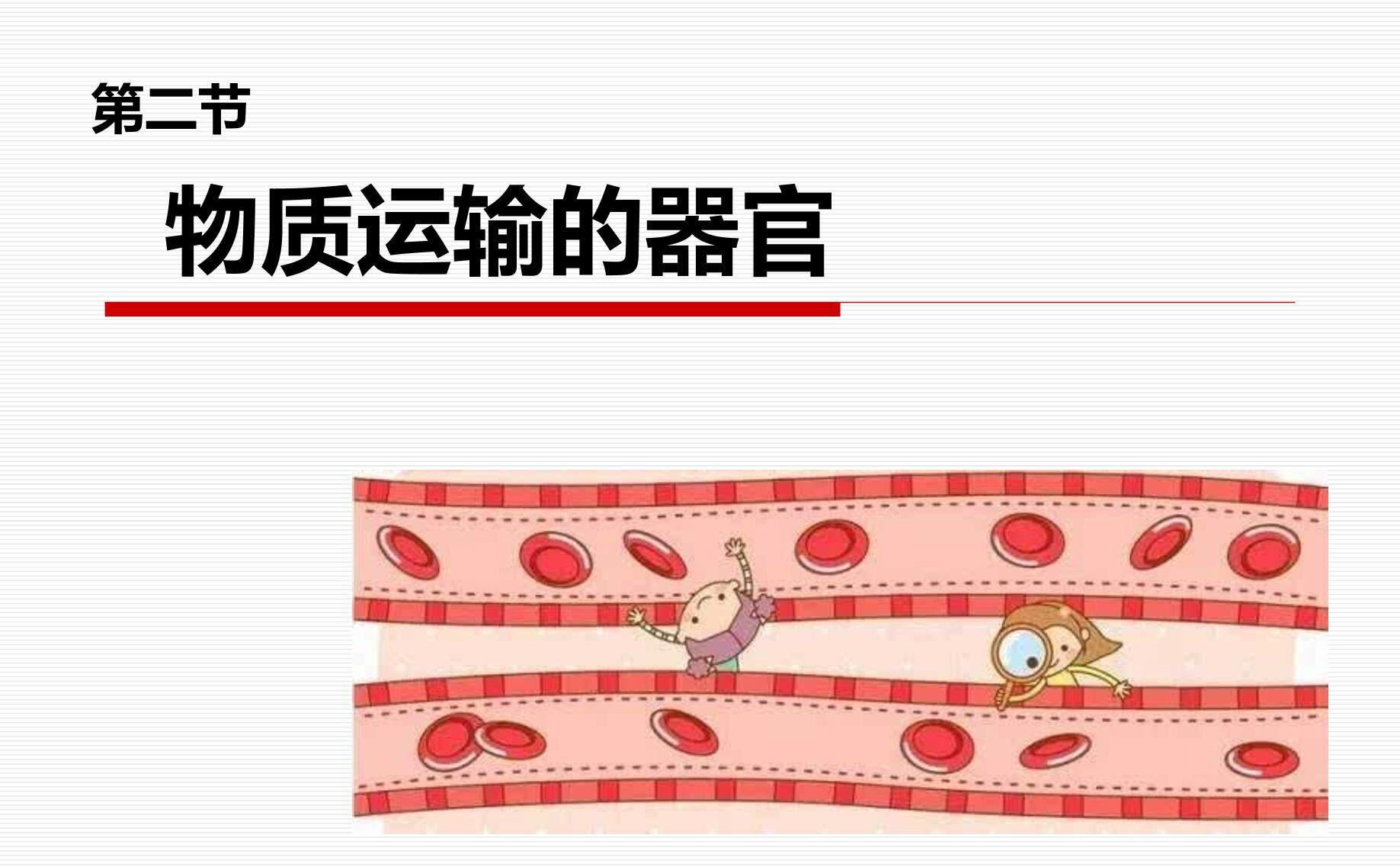 第二节　物质运输的器官