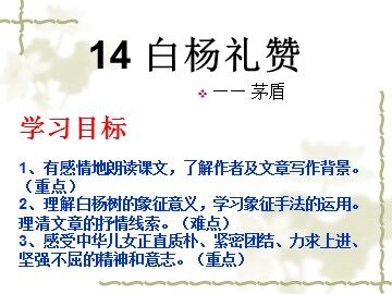 14  白杨礼赞