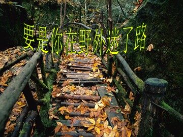 20 要是你在野外迷了路 