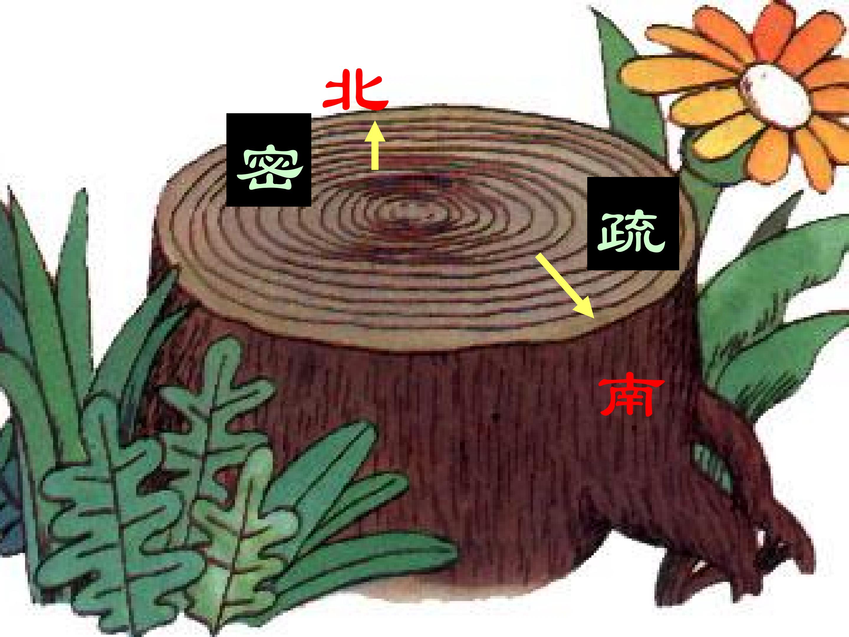 43.jpg