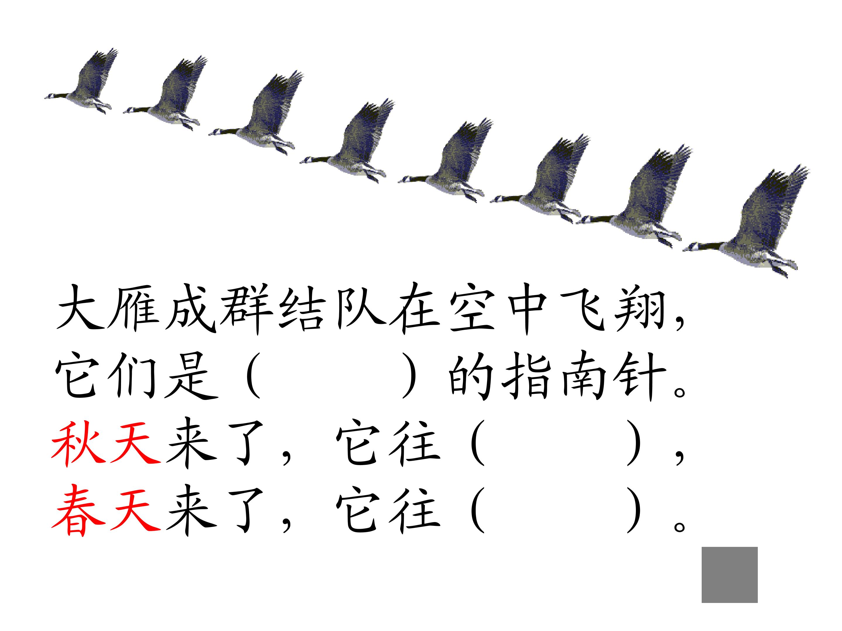 53.jpg