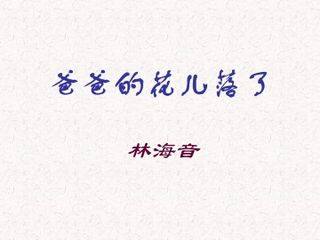 爸爸的花儿落了_课件23