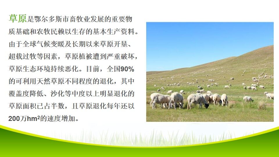 关注生物资源的合理利用课件