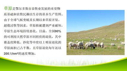 关注生物资源的合理利用课件