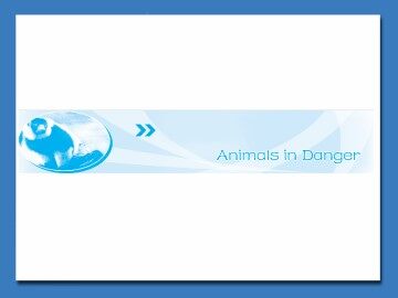 Animals in Danger_课件8