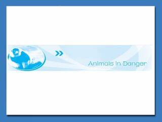 Animals in Danger_课件8