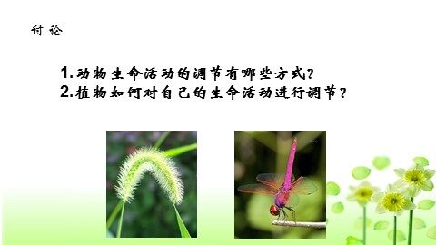 第1节 植物生长素的发现